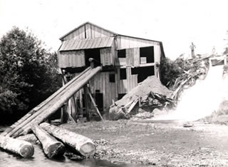 Puget Sawmill